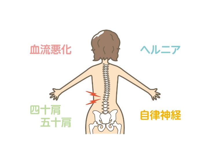 体